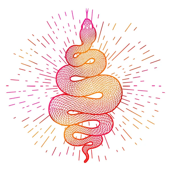 Φίδι Τυλιγμένο Ακτίνες Φωτός Πολύχρωμο Φυλετικό Ερπετό Απομονωμένο Λευκό Φόντο — Διανυσματικό Αρχείο