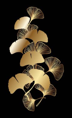 Ginkgo ya da yapraklı Gingko Biloba altın dalı. Doğa botanik altın vektör çizimi, siyah üzerine izole edilmiş dekoratif metal grafiği..