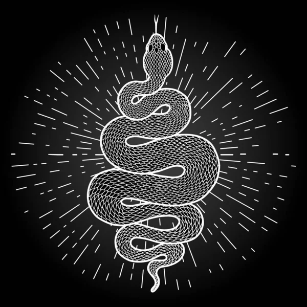 Serpent Enroulé Avec Des Rayons Lumière Illustration Serpent Tribal Blanc — Image vectorielle