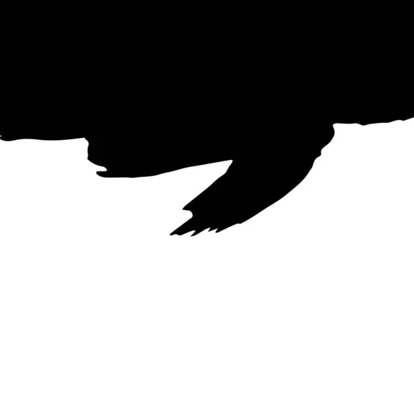 Artistic Grunge Brush Paint Stroke Backdrop Black Isolated White Background — Stock Vector