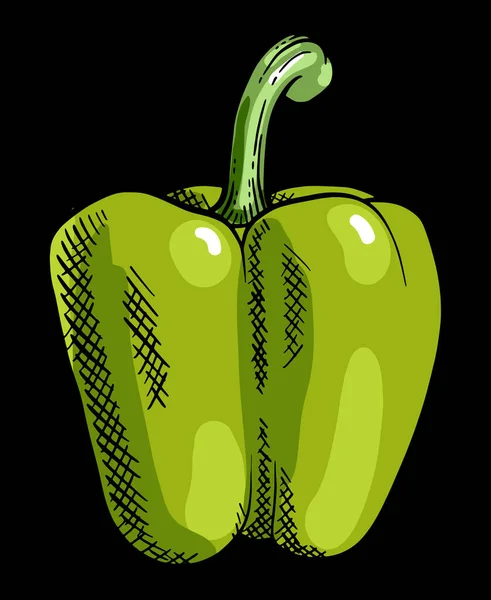 新鲜的甜青椒农贸市场蔬菜设计元素 素食配方 在黑色上方孤立的矢量图解 — 图库矢量图片