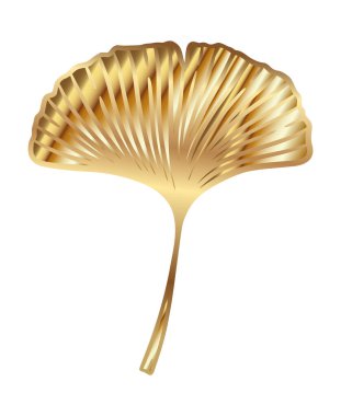 Ginkgo ya da Gingko Biloba altın yaprağı. Doğa botanik altın vektör çizimi, beyaz üzerine izole edilmiş dekoratif metal grafiği.