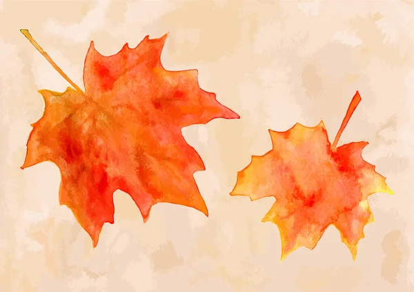 Jasně Oranžová Akvarel Podzimní Javor Listy Přes Béžové Malované Pozadí — Stockový vektor