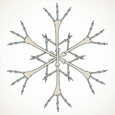 Beyaz zemin üzerinde izole edilmiş bej bej kemiklerden yapılmış vektör kar tanesi.