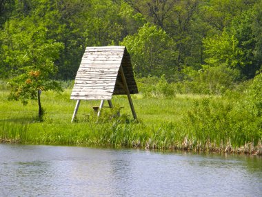Bir orman göl kıyısında güzel ahşap kubbe