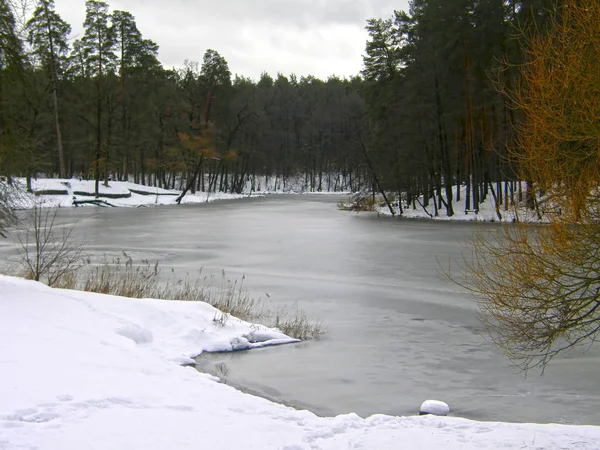 Beautiful Frozen Forest Lake — Stock Photo, Image