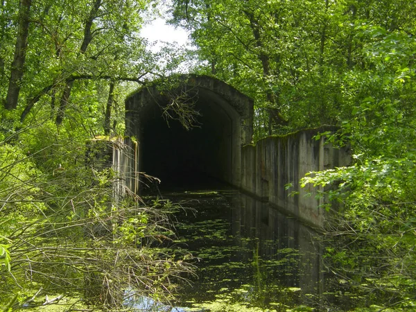 Oude Overstroomd Concrete Tunnel Zhukov Een Eiland Kiev Oekraïne Rechtenvrije Stockfoto's
