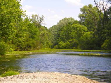 Güzel bahar ormanı Gölü