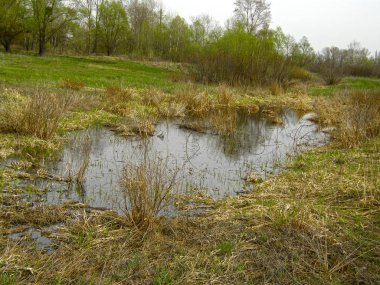 Erken baharda çok küçük bataklık göl