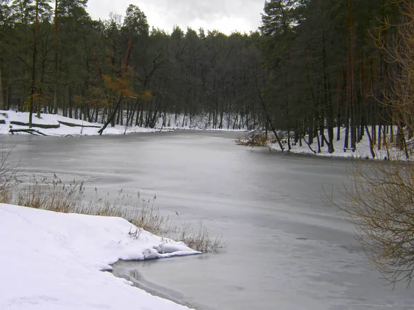 Beautiful Frozen Forest Lake — Stock Photo, Image