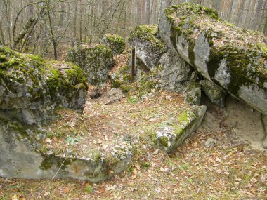 Antik ormandaki beton sığınak yok.