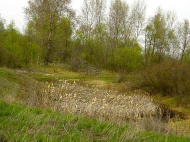 Erken baharda çok küçük bataklık göl