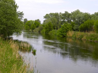 Ormandaki güzel nehir.