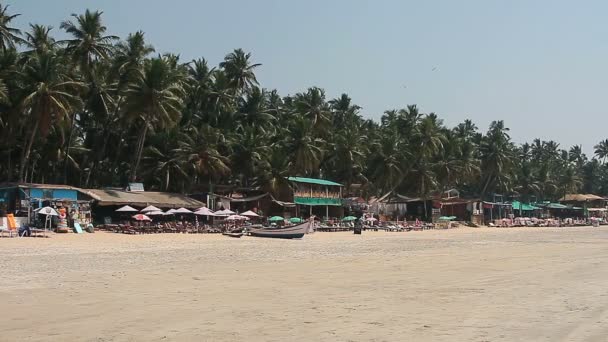 Goa India Februari 2016 Vakantiehuizen Hutten Het Strand Van Palolem — Stockvideo