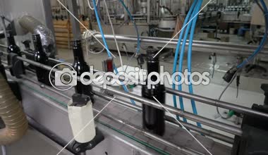 Şişeleme ve Konveyör hattı şarap Fabrikası'nda mühürleme