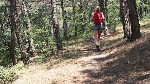 Vacker Ung Flicka Med Ryggsäck Turistkampanjen — Stockvideo