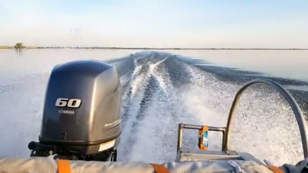 Båtens Motorer Hastighet Med Full Hastighet Enhet Sochi Russian Federation — Stockvideo