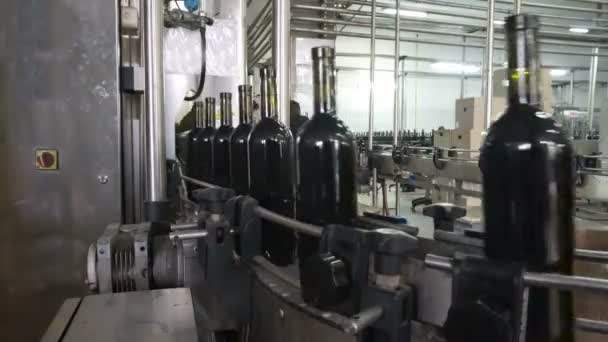 Linea Imbottigliamento Sigillatura Presso Fabbrica Della Cantina — Video Stock