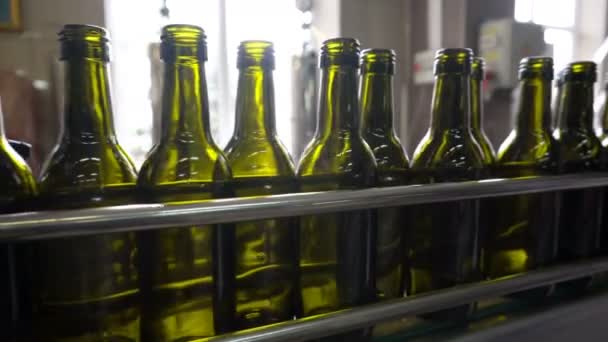 Bottelen Afdichten Van Lopende Lijn Winery Fabriek — Stockvideo