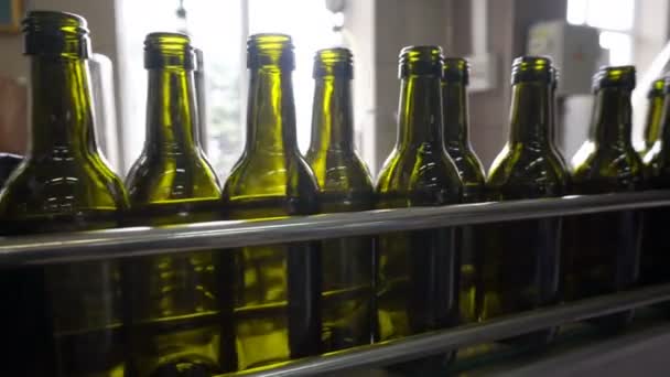 Abfüllung Und Versiegelung Von Förderbändern Der Weinkellerei — Stockvideo
