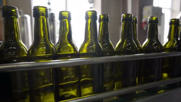 Bottling Sealing Conveyor Line Winery Factory — Stock Video