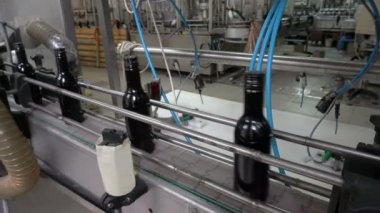 Şişeleme ve Konveyör hattı şarap Fabrikası'nda mühürleme