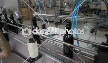 Şişeleme ve Konveyör hattı şarap Fabrikası'nda mühürleme