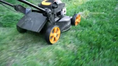 Çim biçme makinesi arka bahçesinde yeşil çim kesme. Bahçe arka plan.