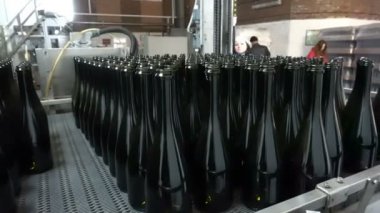 Daha fazla şarap şişeleme için konveyör için şişe besleme