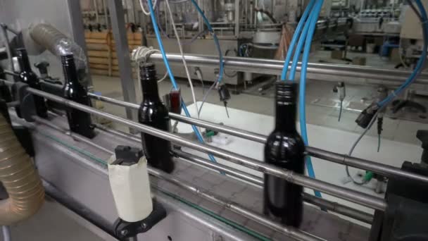 Şişeleme Konveyör Hattı Şarap Fabrikası Nda Mühürleme — Stok video