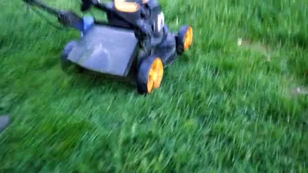 芝刈り機の裏庭で緑の草をカットします ガーデニング バック グラウンド — ストック動画