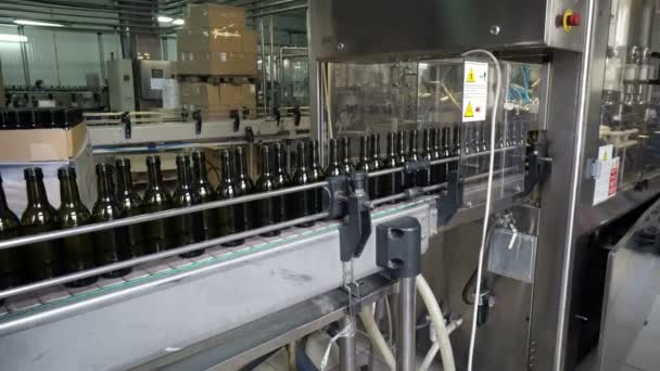 Linea Imbottigliamento Sigillatura Presso Fabbrica Della Cantina — Video Stock