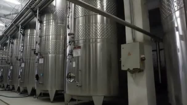 Sennoy Fédération Russie Février 2018 Barils Acier Pour Fermentation Vin — Video