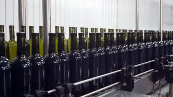 Abfüllung Und Versiegelung Von Förderbändern Der Weinkellerei — Stockvideo