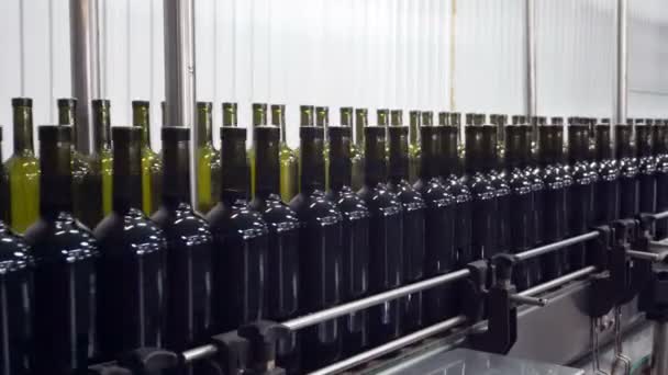 Plnění Uzavírání Dopravníkové Linky Továrně Vinařství — Stock video