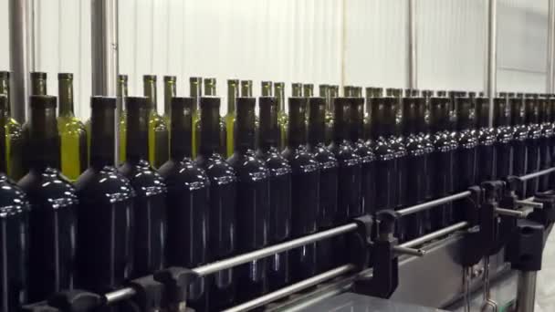 Abfüllung Und Versiegelung Von Förderbändern Der Weinkellerei — Stockvideo