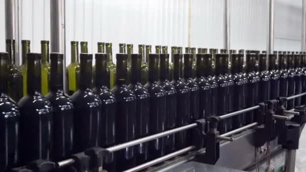 Plnění Uzavírání Dopravníkové Linky Továrně Vinařství — Stock video