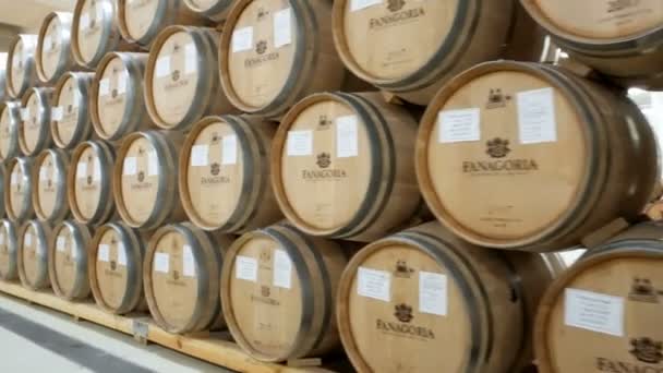 Sennoy Federación Rusa Febrero 2018 Barricas Vino Apiladas Antigua Bodega — Vídeos de Stock