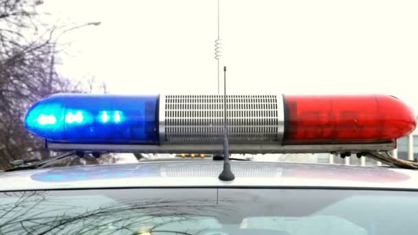 Polizia Blu Rosso Lampeggiante Lampada Filatura — Video Stock