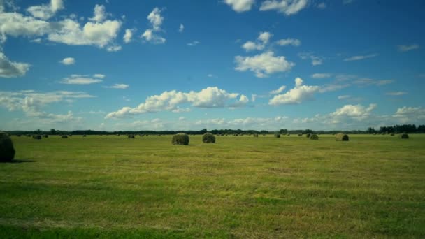 空雲の美しさを持つフィールドで干し草の俵 — ストック動画