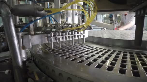 Baris Konveyor Otomatis Untuk Produksi Krim — Stok Video