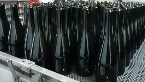 Alimentação Garrafas Para Transportador Para Posterior Engarrafamento Vinho — Vídeo de Stock