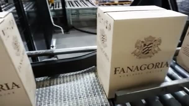 Sennoy 俄罗斯联邦 2018年2月14日 向传送带输送红酒纸盒 — 图库视频影像