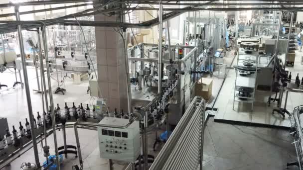 Línea Transportadora Embotellado Sellado Fábrica Bodegas — Vídeos de Stock