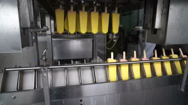 Автоматические Конвейерные Линии Производства Мороженого — стоковое видео