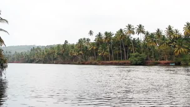 Río Tropical Día Soleado — Vídeos de Stock