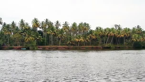 Río Tropical Día Soleado — Vídeos de Stock