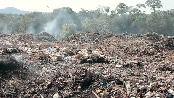 Dużych Śmieci Zrzutu Odpadów Dymu — Wideo stockowe