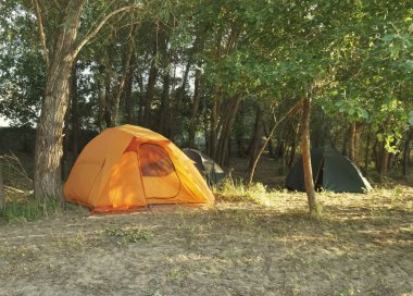 Ormanda kamp çadırı