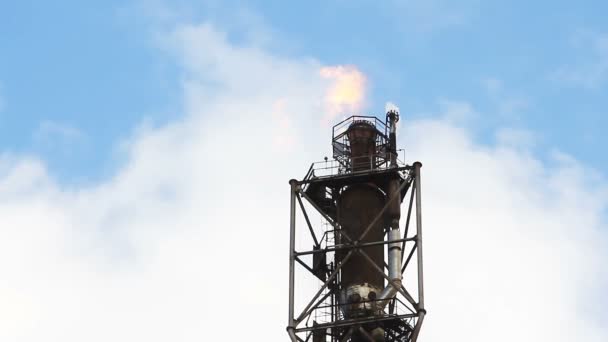 Antorcha Gas Fuego Refinería — Vídeos de Stock